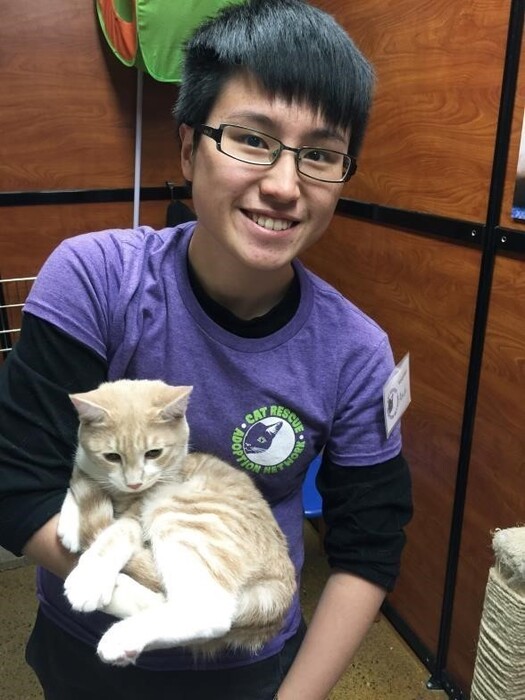 Cat Rescue & Adoption Network 志工
